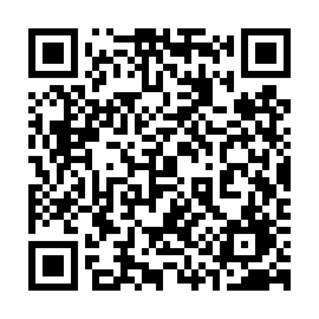 QR code for 313TRD