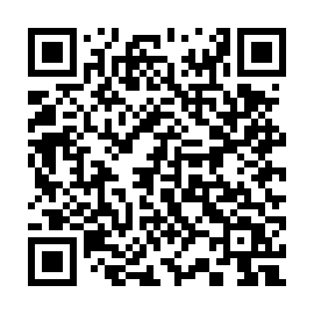QR code for 325DVT