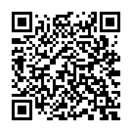 QR code for 325SCM