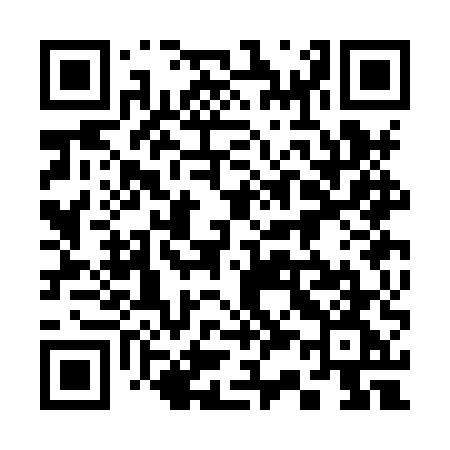 QR code for 333HUG
