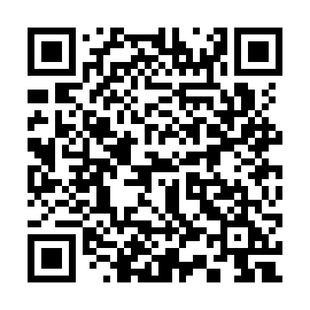 QR code for 333KVE