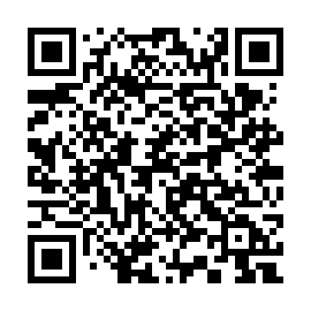 QR code for 333VGD