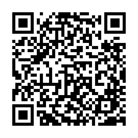 QR code for 333ZNN