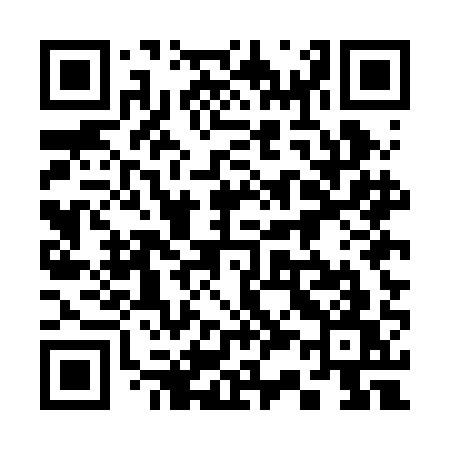 QR code for 335BAW