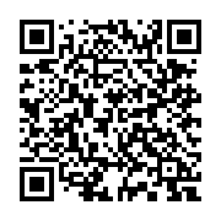 QR code for 335DBA