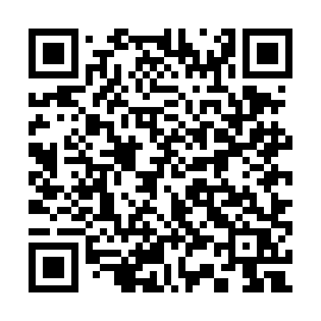 QR code for 335DHR