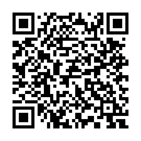QR code for 335DQI
