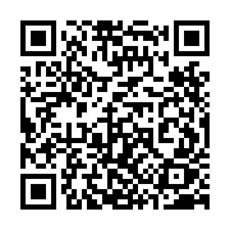 QR code for 335LEZ