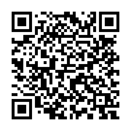 QR code for 335LZP