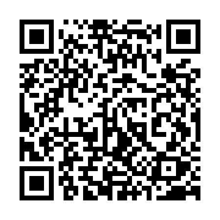 QR code for 335MRX