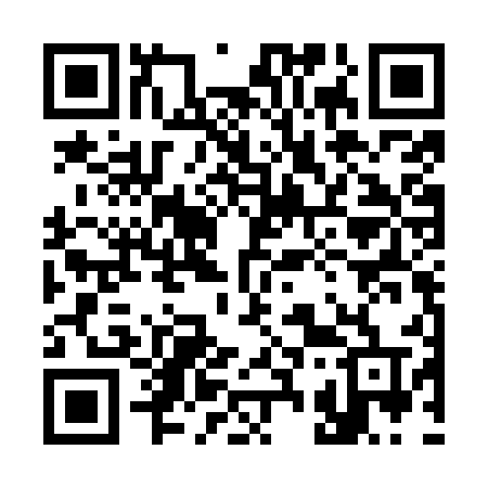 QR code for 335OUT