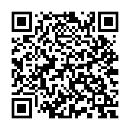 QR code for 335RSG