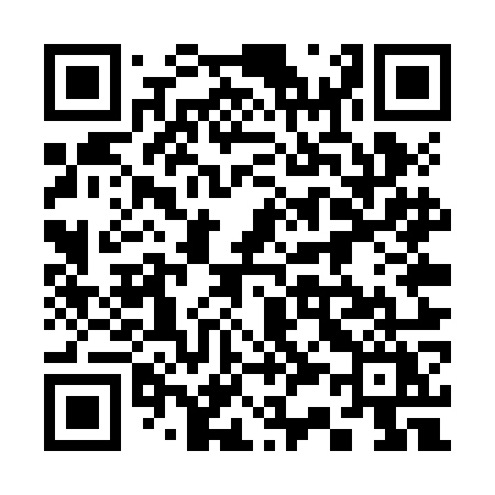 QR code for 335ZOY