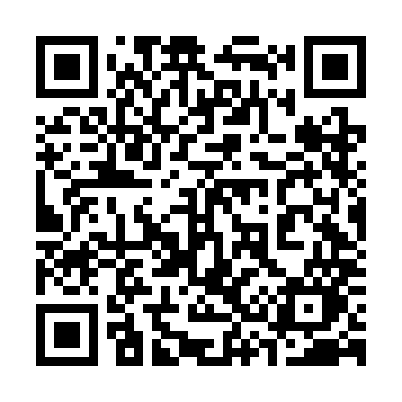 QR code for 336CMO