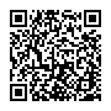 QR code for 336MNC