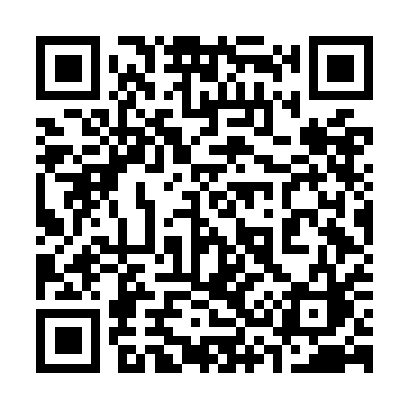QR code for 336OAC