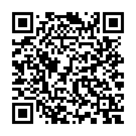 QR code for 336OSX