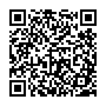 QR code for 338DLM