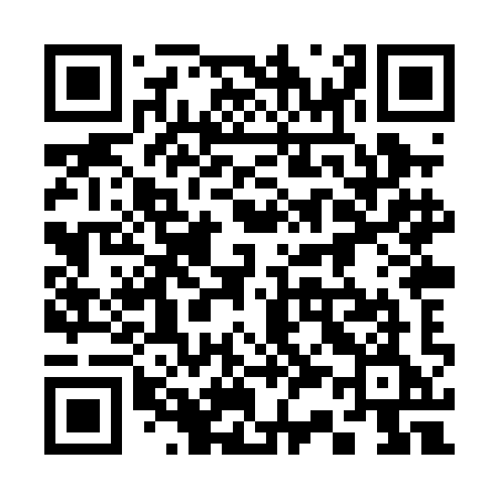 QR code for 338PIE