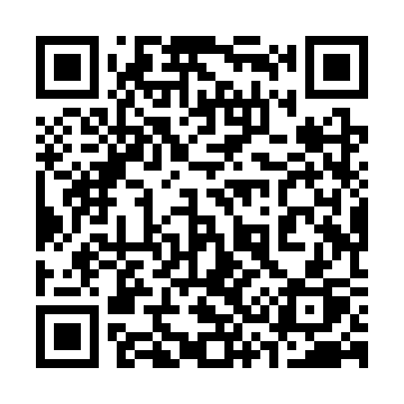 QR code for 338SSP