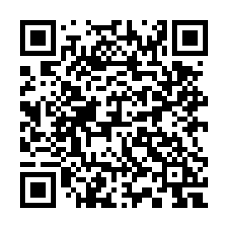 QR code for 339DPI