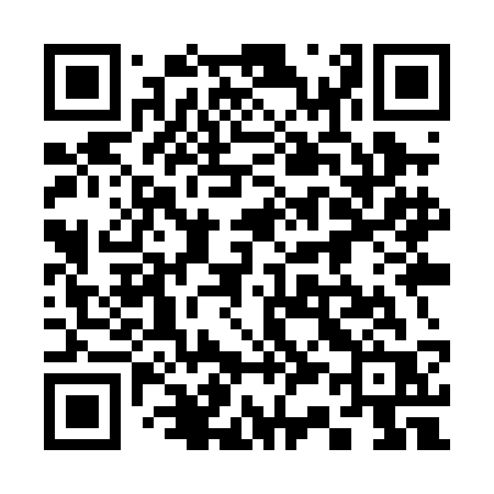 QR code for 339PCR