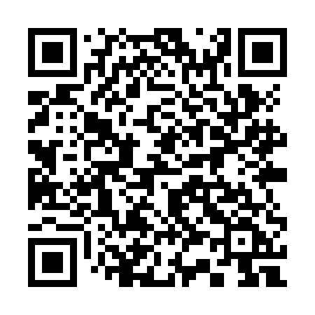 QR code for 339ZEF