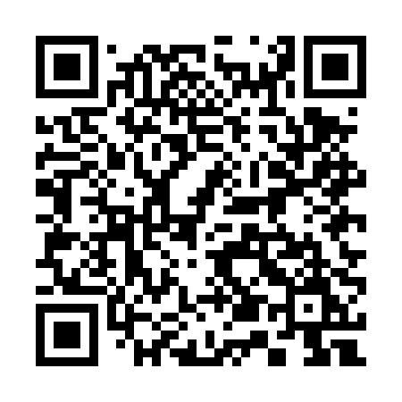 QR code for 355DPM