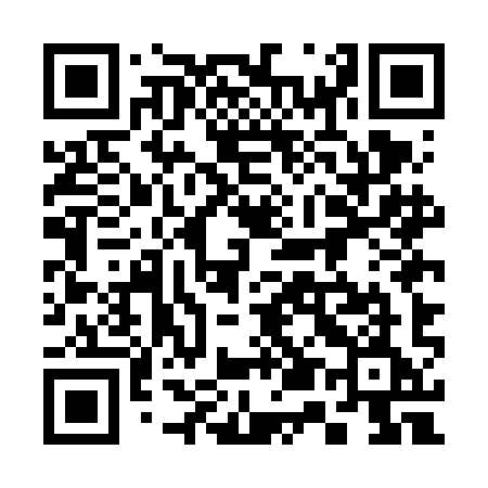 QR code for 355FIE