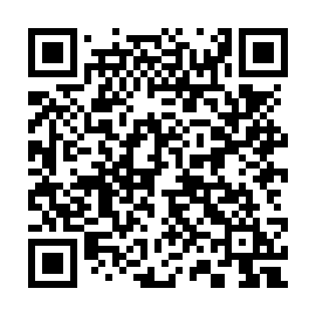 QR code for 368NSI