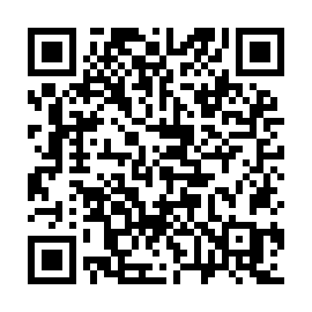 QR code for 369INC