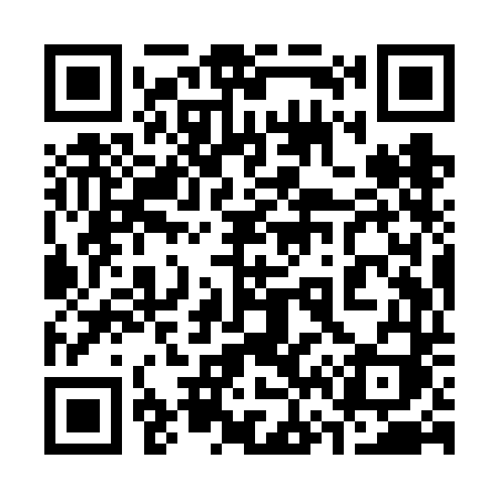 QR code for 369VDI
