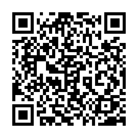 QR code for 375MSP