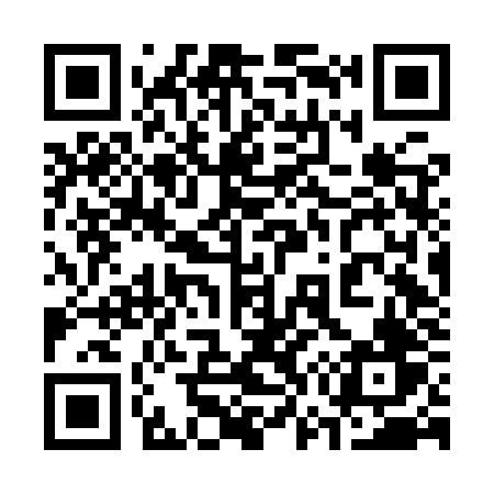 QR code for 376IZV