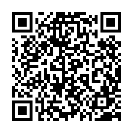 QR code for 378PIV