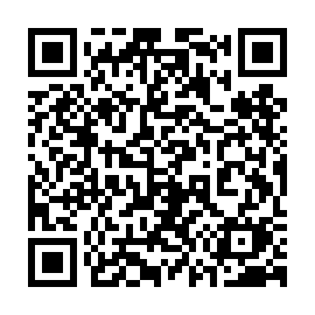 QR code for 379DCM