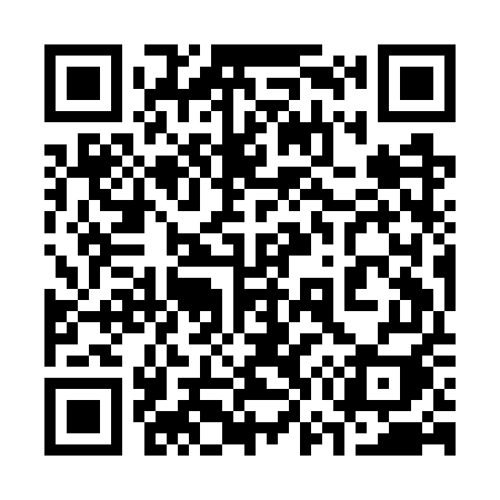 QR code for 379GUI