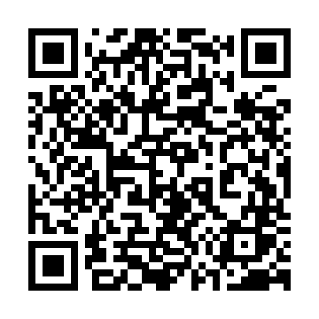QR code for 379INS