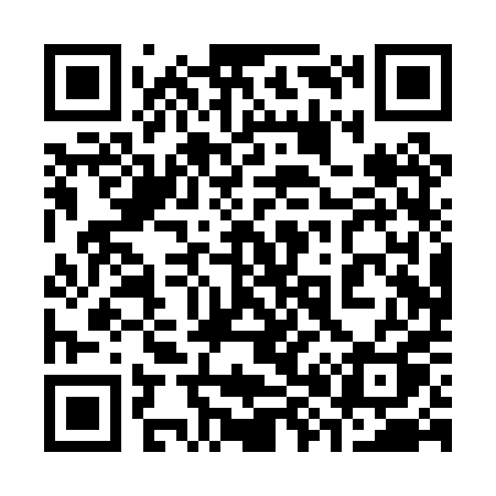 QR code for 380PPQ