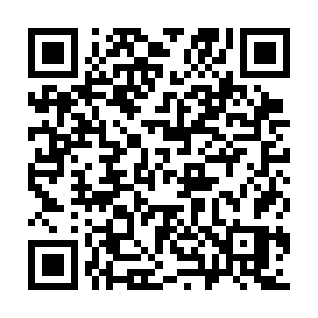 QR code for 381CFS