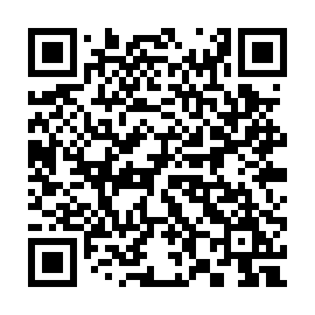 QR code for 381PPM
