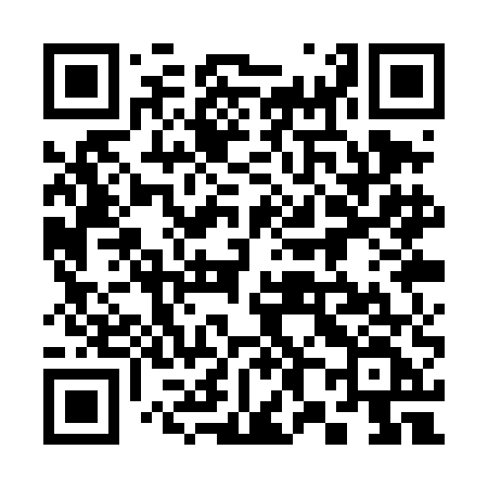 QR code for 381TEF