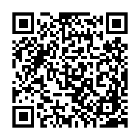 QR code for 381TVG