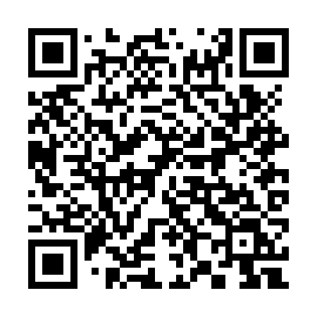 QR code for 382JZL