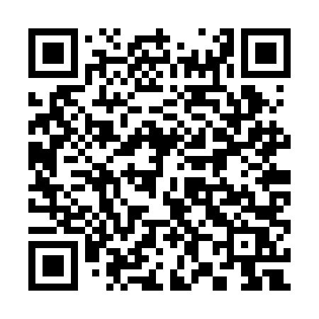 QR code for 382RLR