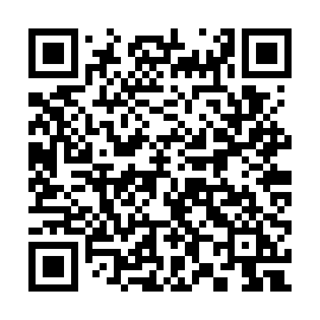QR code for 382WPI