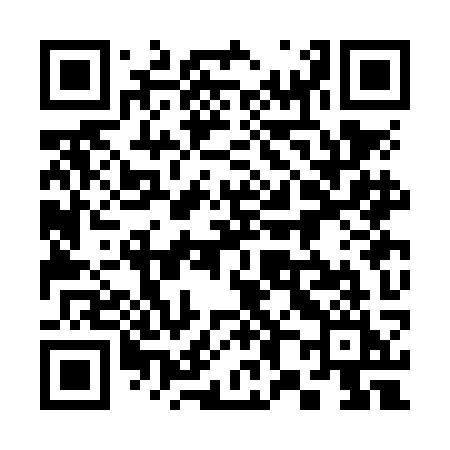 QR code for 383NKI