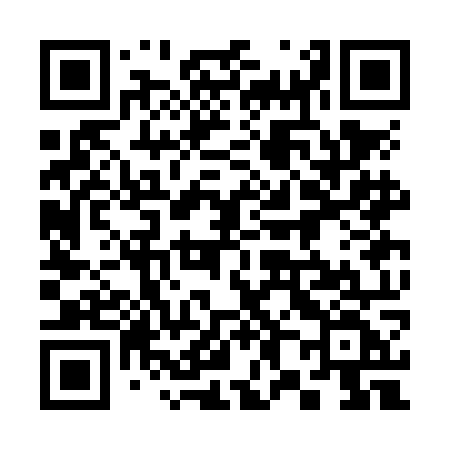 QR code for 383NOF
