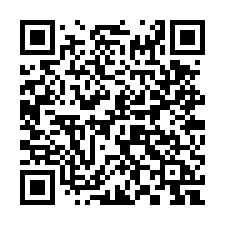 QR code for 383TUA