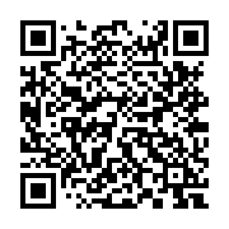 QR code for 383XXI
